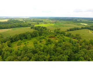TRACT 47 - ILLINOIS LAND AUCTION - 4,810+/- ACRES OFFERED IN 85 TRACTS IN FRANKLIN, WILLIAMSON, HAMILTON & SALINE COUNTIES, ILLINOIS